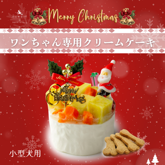 🎄🐾✨ 愛犬のクリスマスを華やかに彩るケーキ 🍰