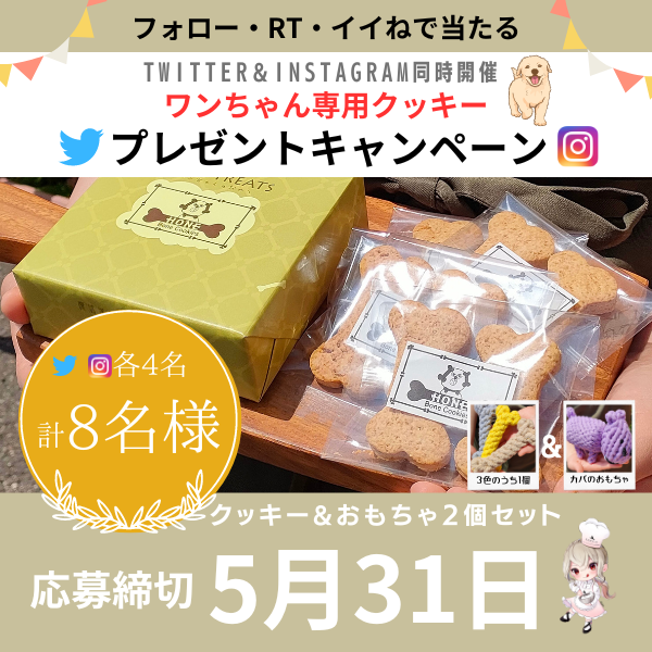 笑顔の魔法、30年: 魔法洋菓子店ソルシエの感謝のキャンペーン
