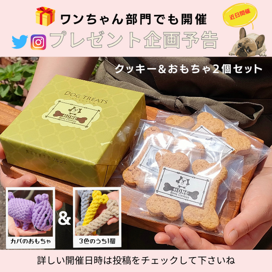 30周年記念!ワンちゃん好き必見のプレゼント企画開催!