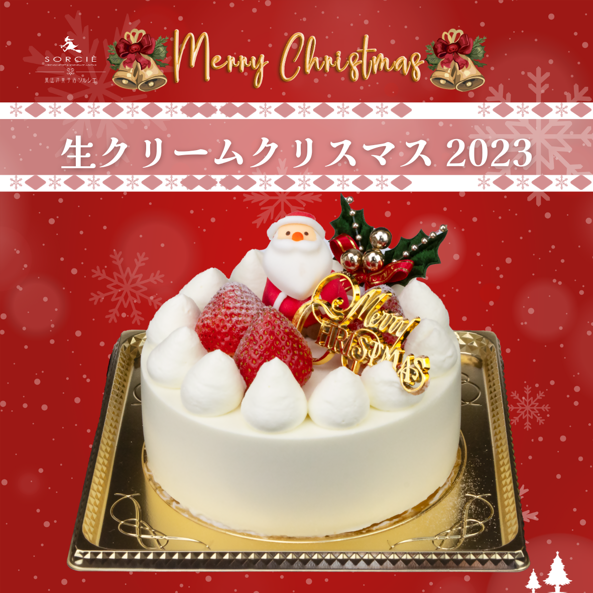 🎄🍰 クリスマスケーキのご案内 🍰🎄