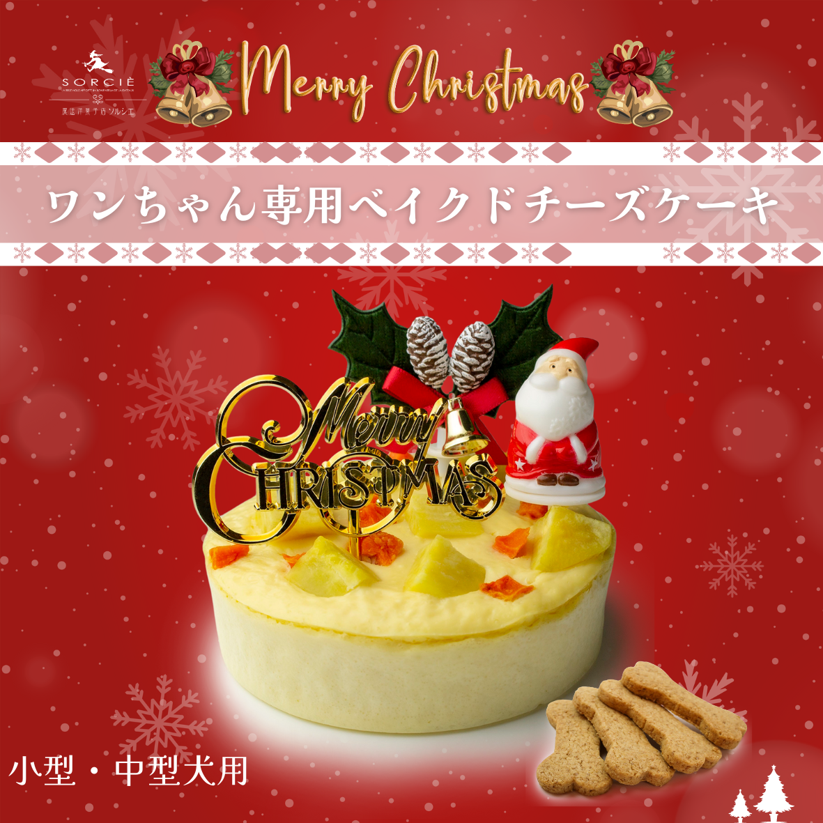 🐾🧀✨ お家で楽しむ、愛犬とのクリスマスにぴったりなベイクドチーズケーキ ✨