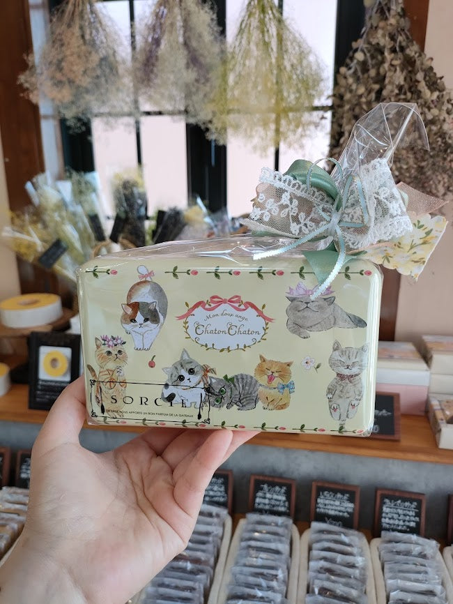 猫ちゃん柄の缶ギフト、再び！