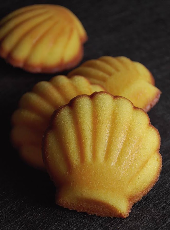 貝型マドレーヌの魅力: フレッシュレモンと良質バターが織り成す絶品スイーツ