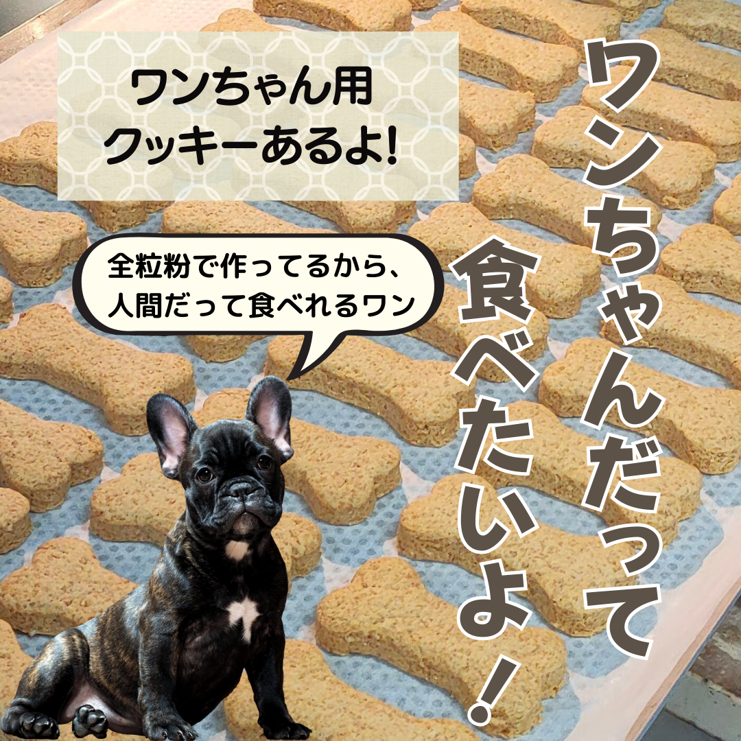 健康的で美味しい！愛犬とシェアできるワンちゃん用クッキー｜魔法洋菓子店ソルシエ