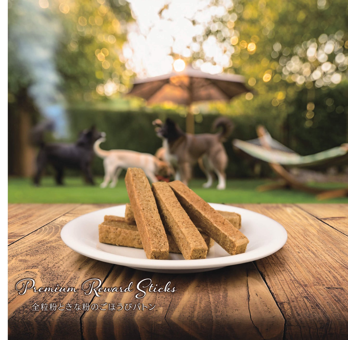 犬用ボーンクッキー＆バトンクッキー