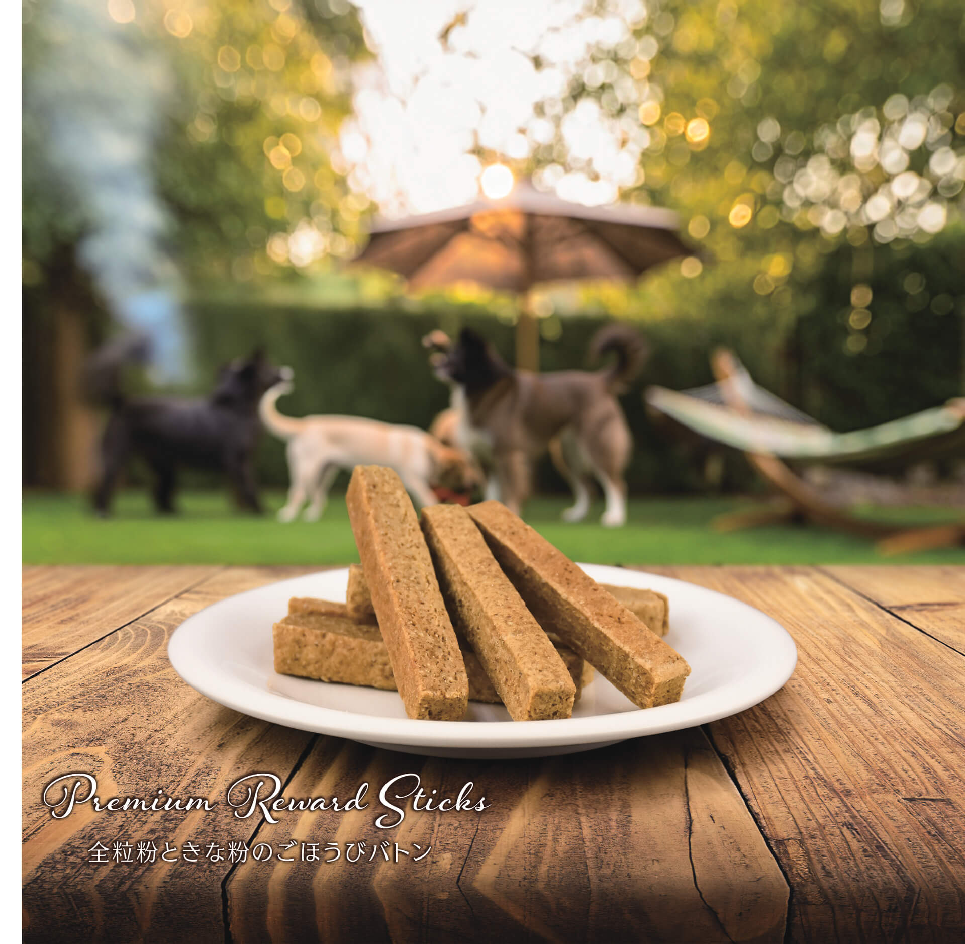 犬用ボーンクッキー＆バトンクッキー