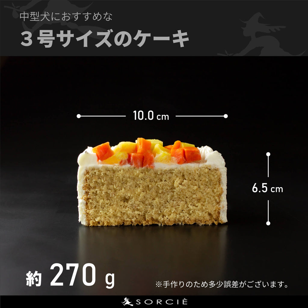 犬用クリームケーキ3号サイズ（クッキー付）の断面と大きさ解説