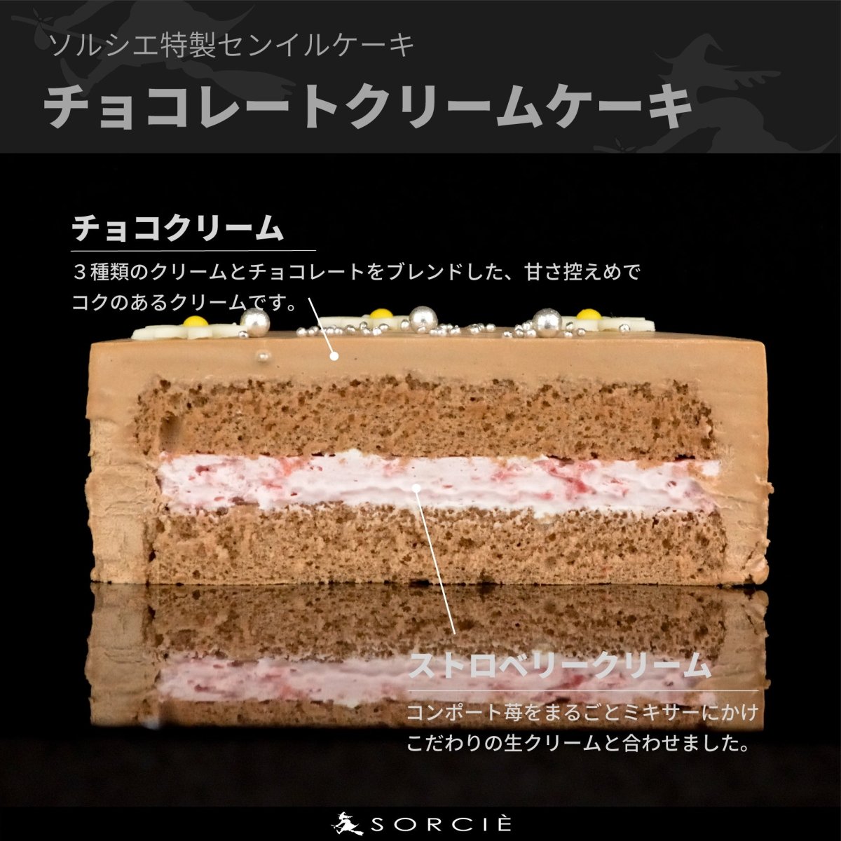 クリスマスケーキ 2025 センイルケーキ チョコ - 魔法洋菓子店ソルシエ
