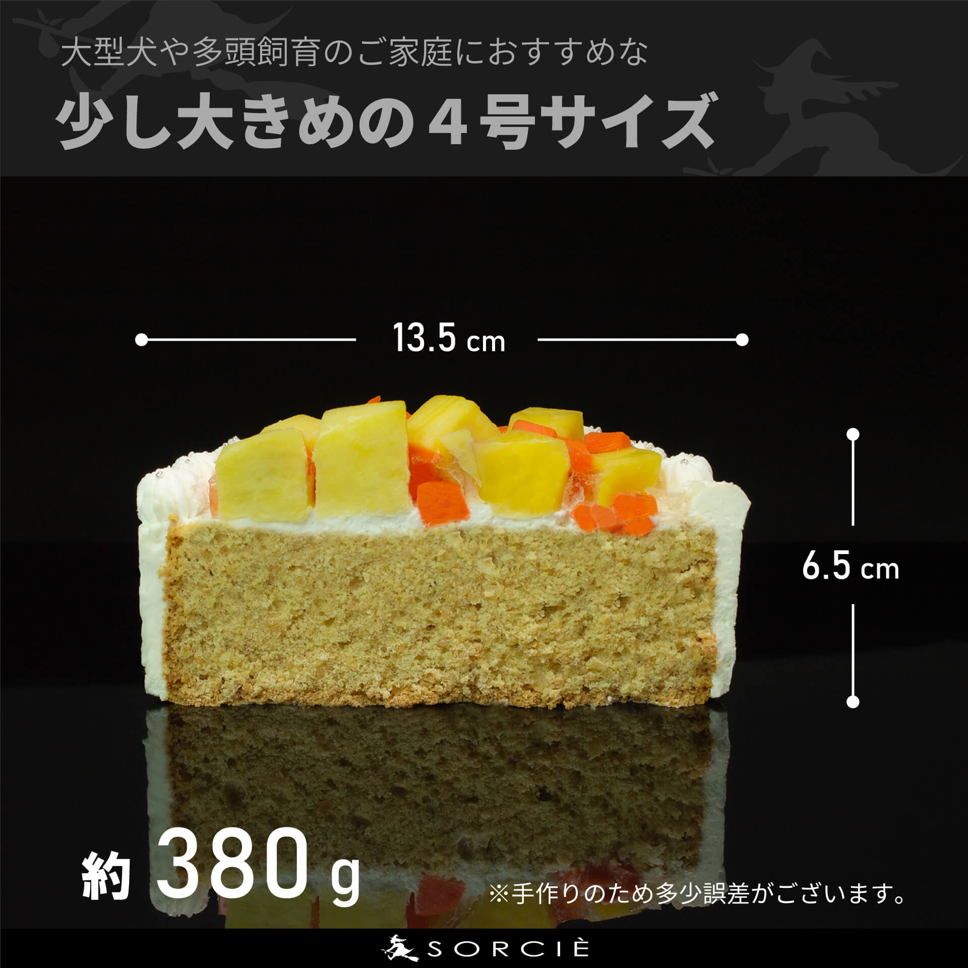 犬用クリームケーキ4号サイズ（クッキー付）の断面と大きさ解説
