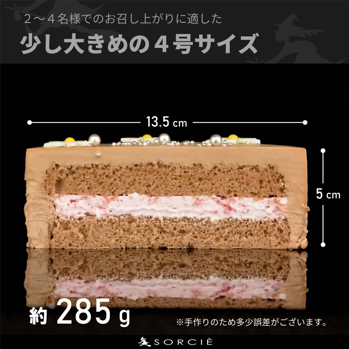 クリスマスケーキ 2025 センイルケーキ チョコ - 魔法洋菓子店ソルシエ