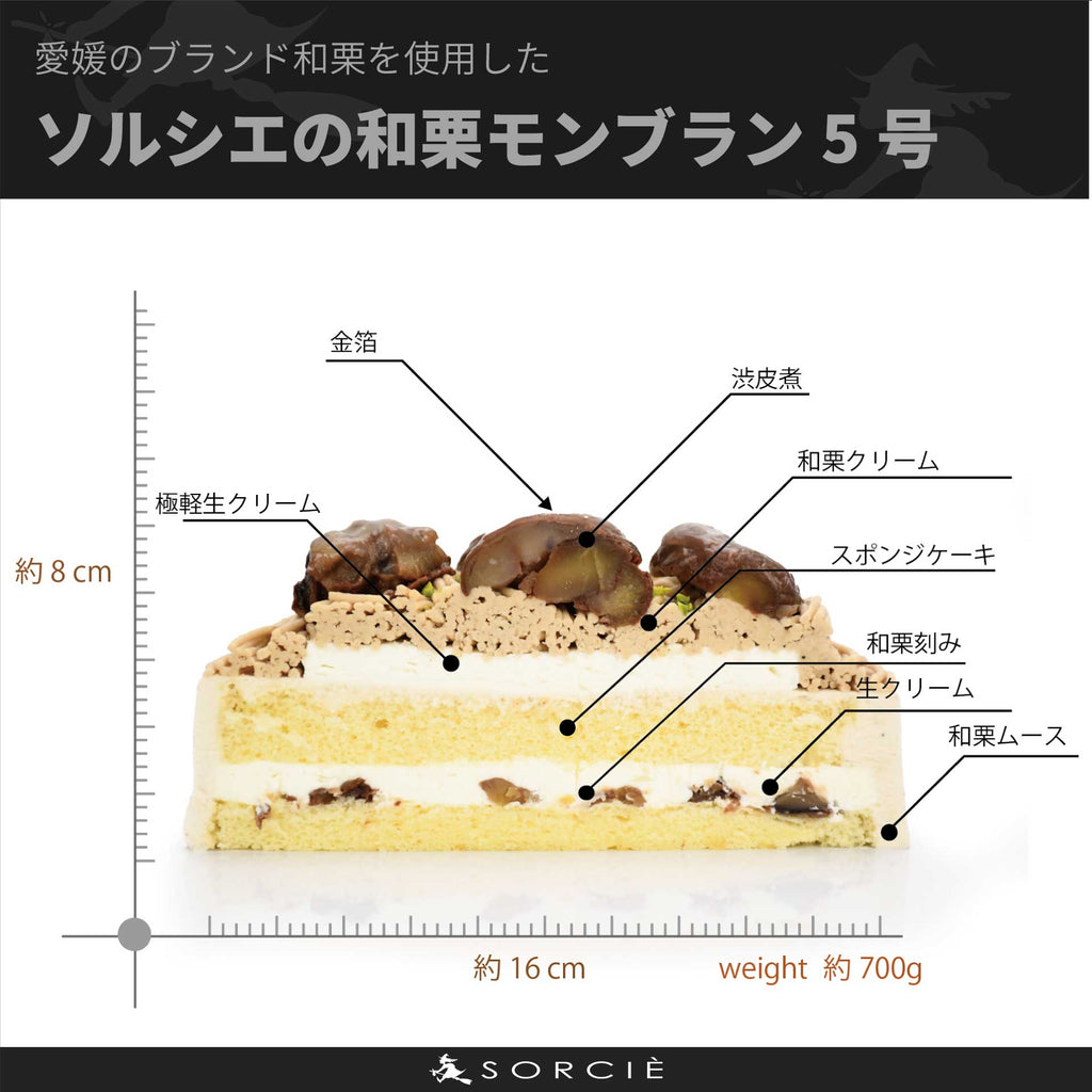 城川和栗モンブランケーキ5号サイズの断面と解説