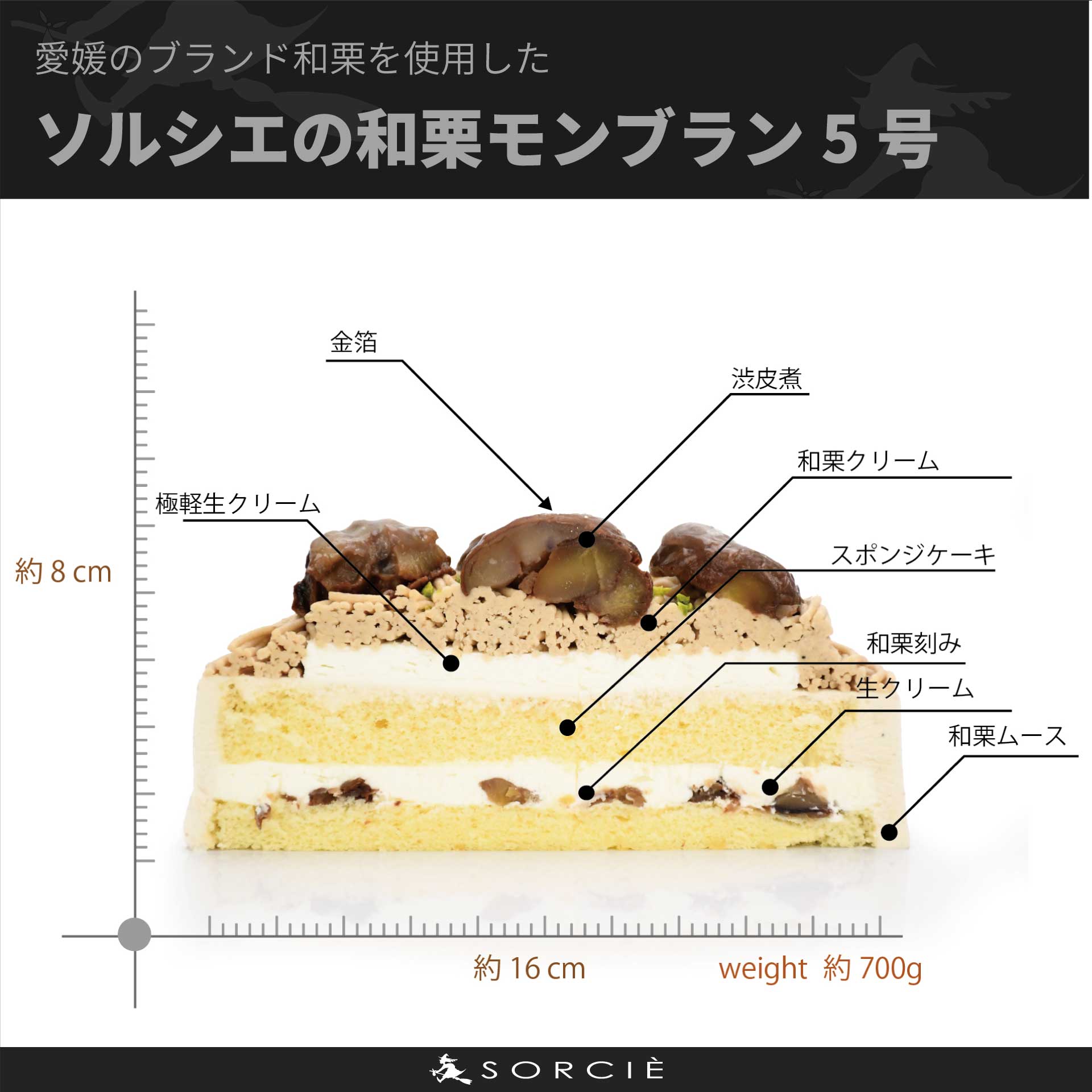 城川和栗モンブランケーキ5号サイズの断面と解説