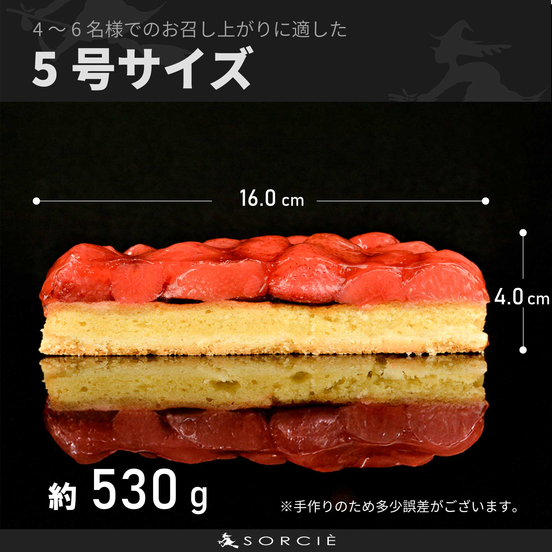 苺のコンポートタルトケーキ5号サイズの断面とサイズ解説