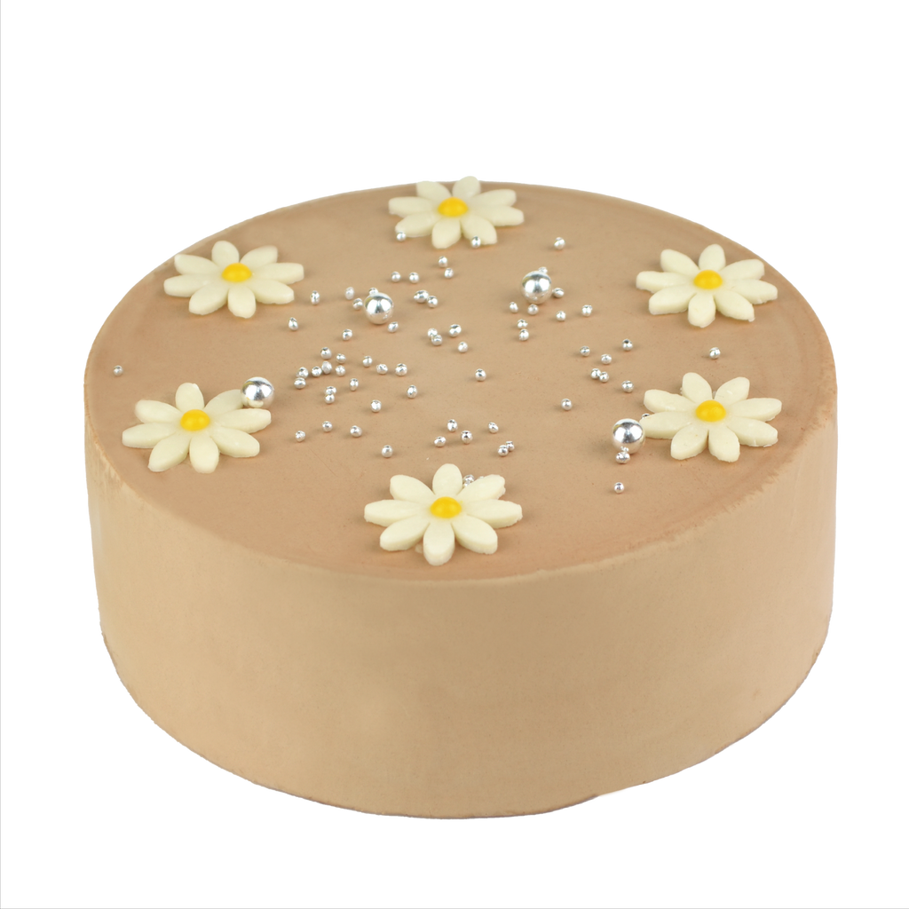 センイルケーキ チョコ