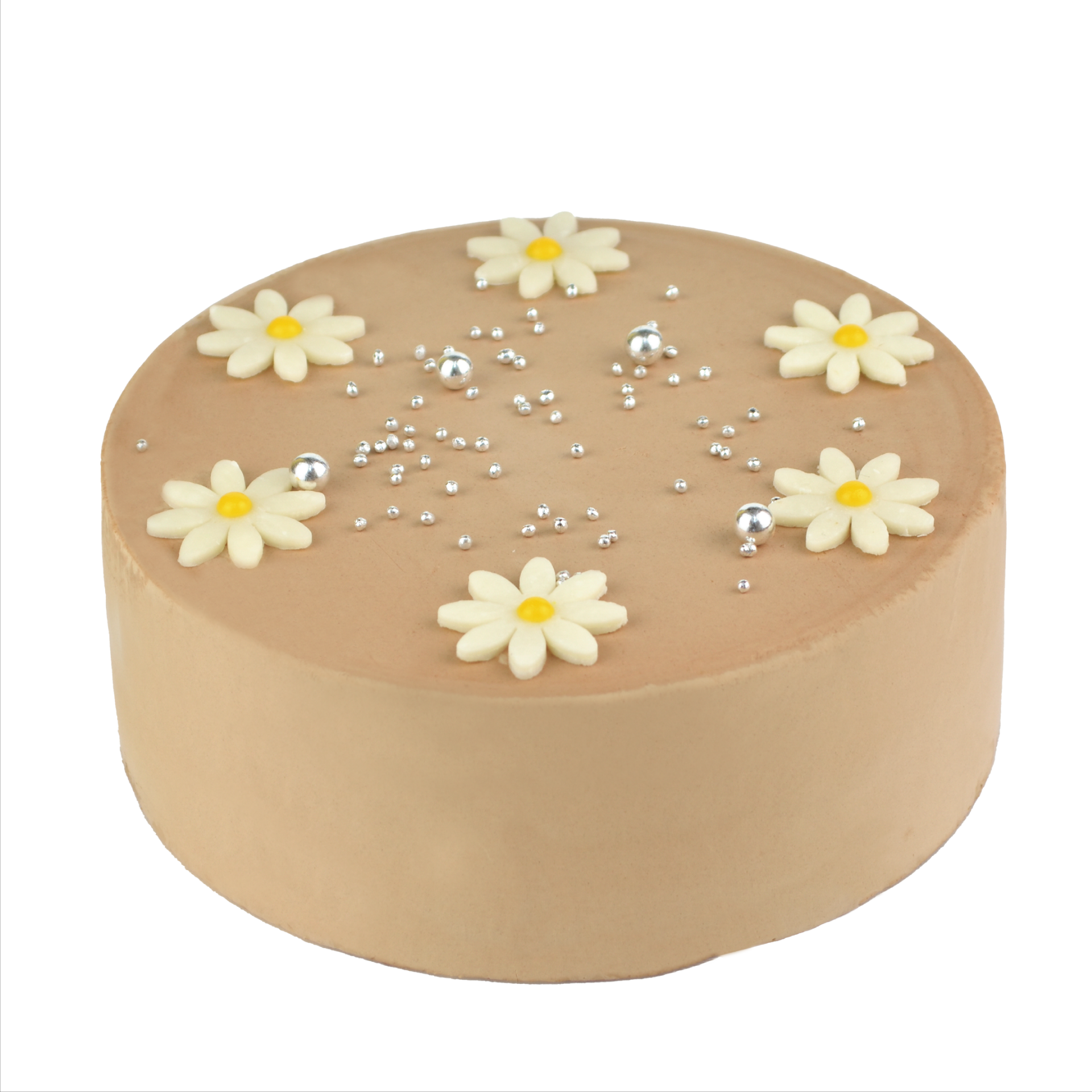 センイルケーキ チョコ