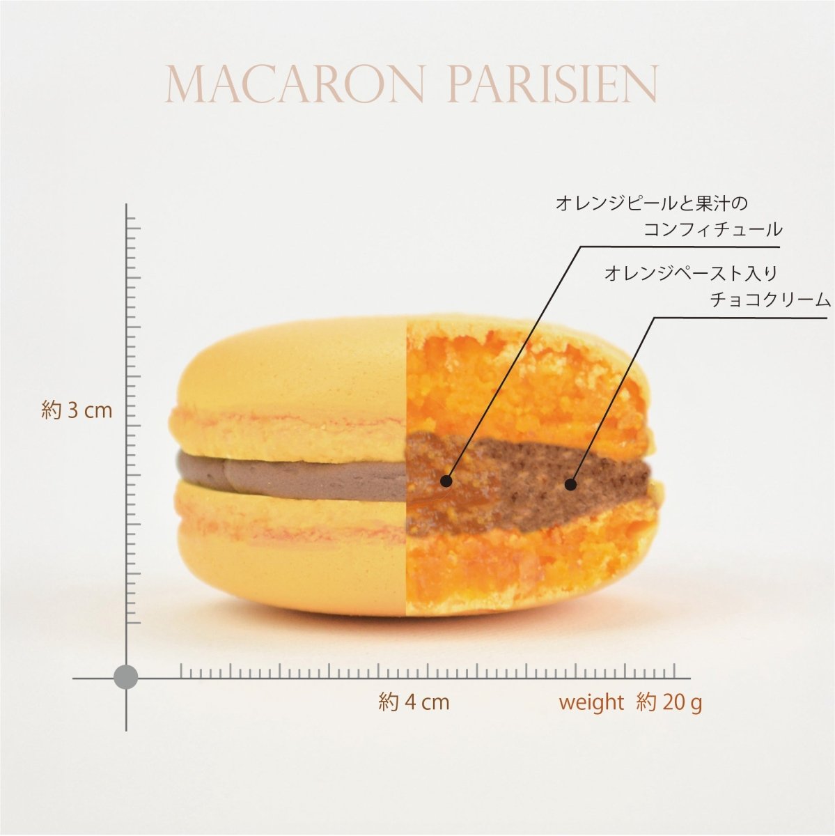 マカロン ショコラオレンジ - 魔法洋菓子店ソルシエ