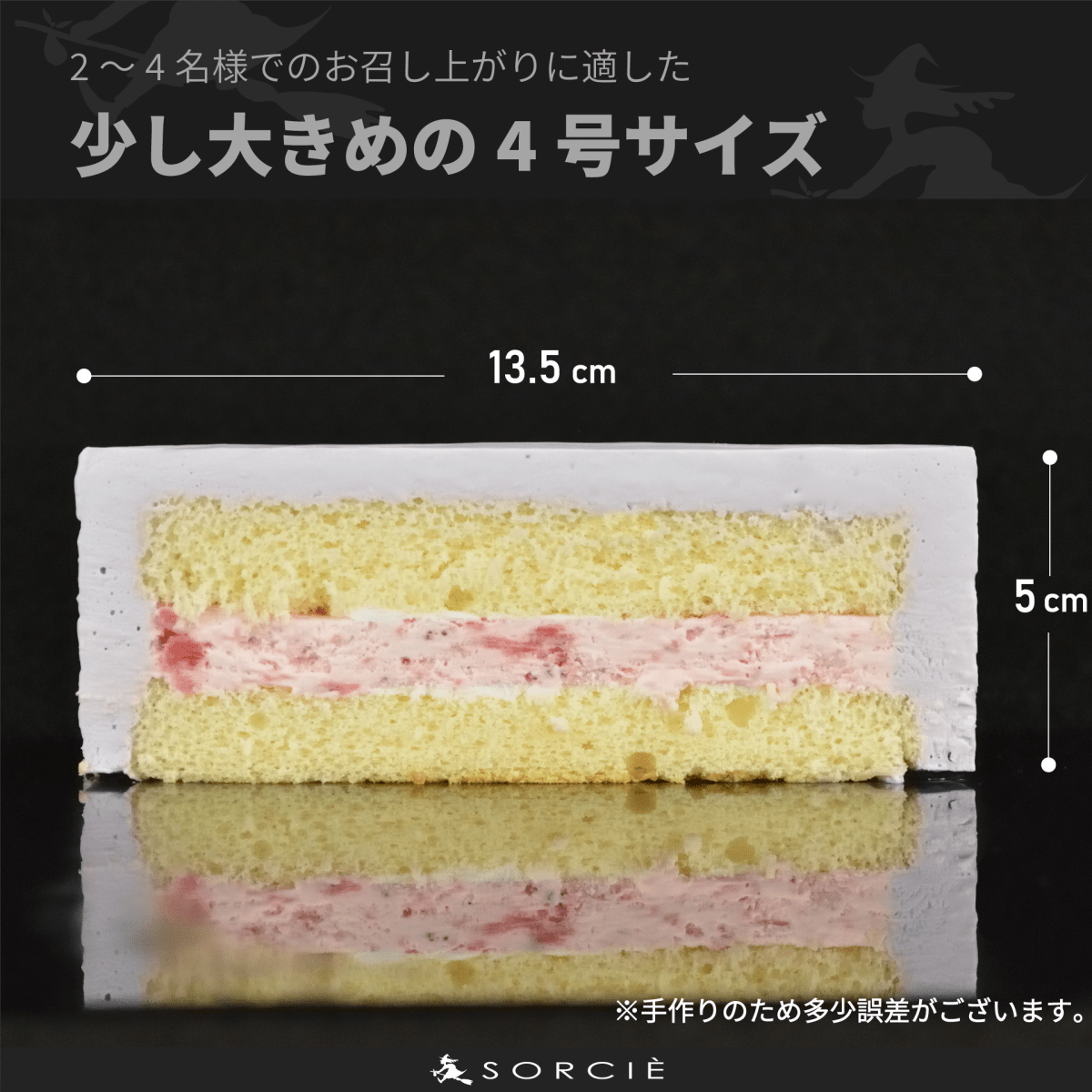 クリスマスケーキ 2025 デコるだケーキ（簡単手作りケーキベース） パープル - 魔法洋菓子店ソルシエ