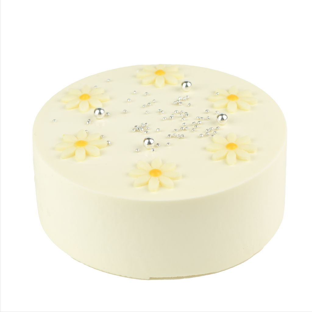 センイルケーキ ホワイト