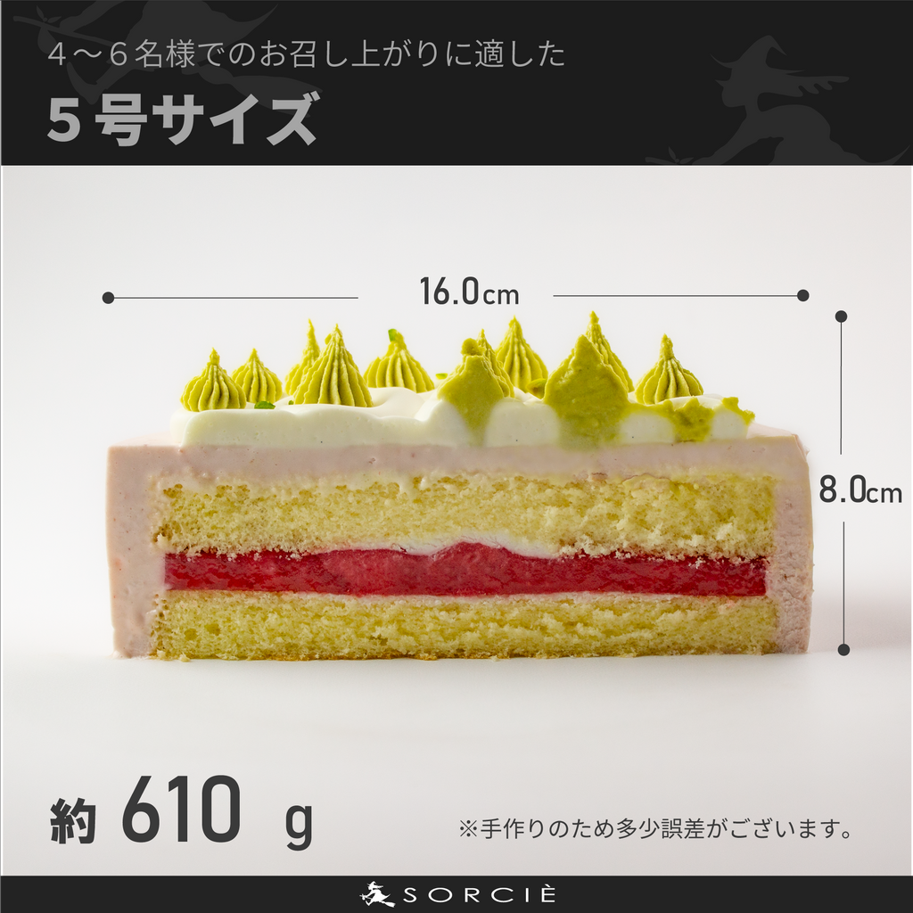 クリスマスケーキ 2025 ピスタチオ＆苺クリームデコレーション