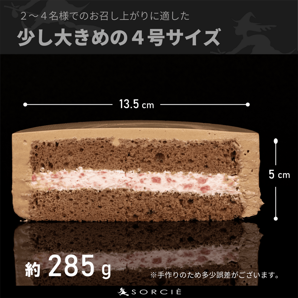 クリスマスケーキ 2025 デコるだケーキ（簡単手作りケーキベース） チョコ - 魔法洋菓子店ソルシエ