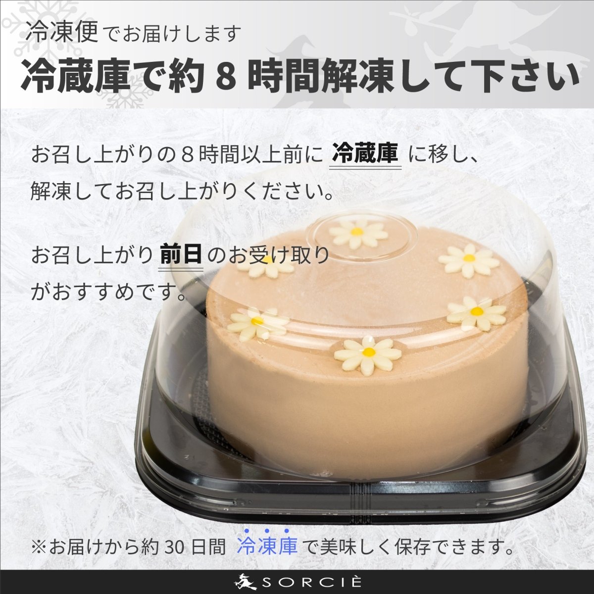 クリスマスケーキ 2025 センイルケーキ チョコ - 魔法洋菓子店ソルシエ