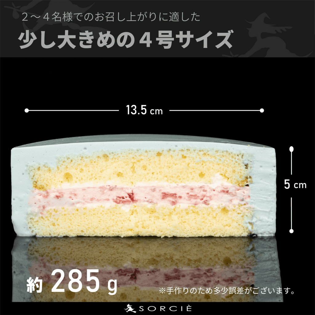 クリスマスケーキ 2025 デコるだケーキ（簡単手作りケーキベース） ブルー - 魔法洋菓子店ソルシエ