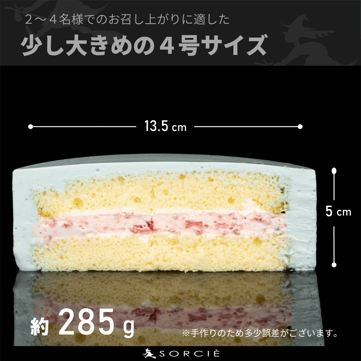 クリスマスケーキ 2025 デコるだケーキ（簡単手作りケーキベース） ブルー - 魔法洋菓子店ソルシエ
