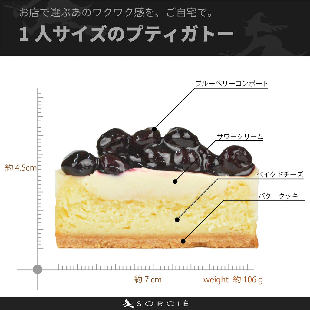 ブルーベリーチーズケーキ | プティガトー（小物ケーキ）