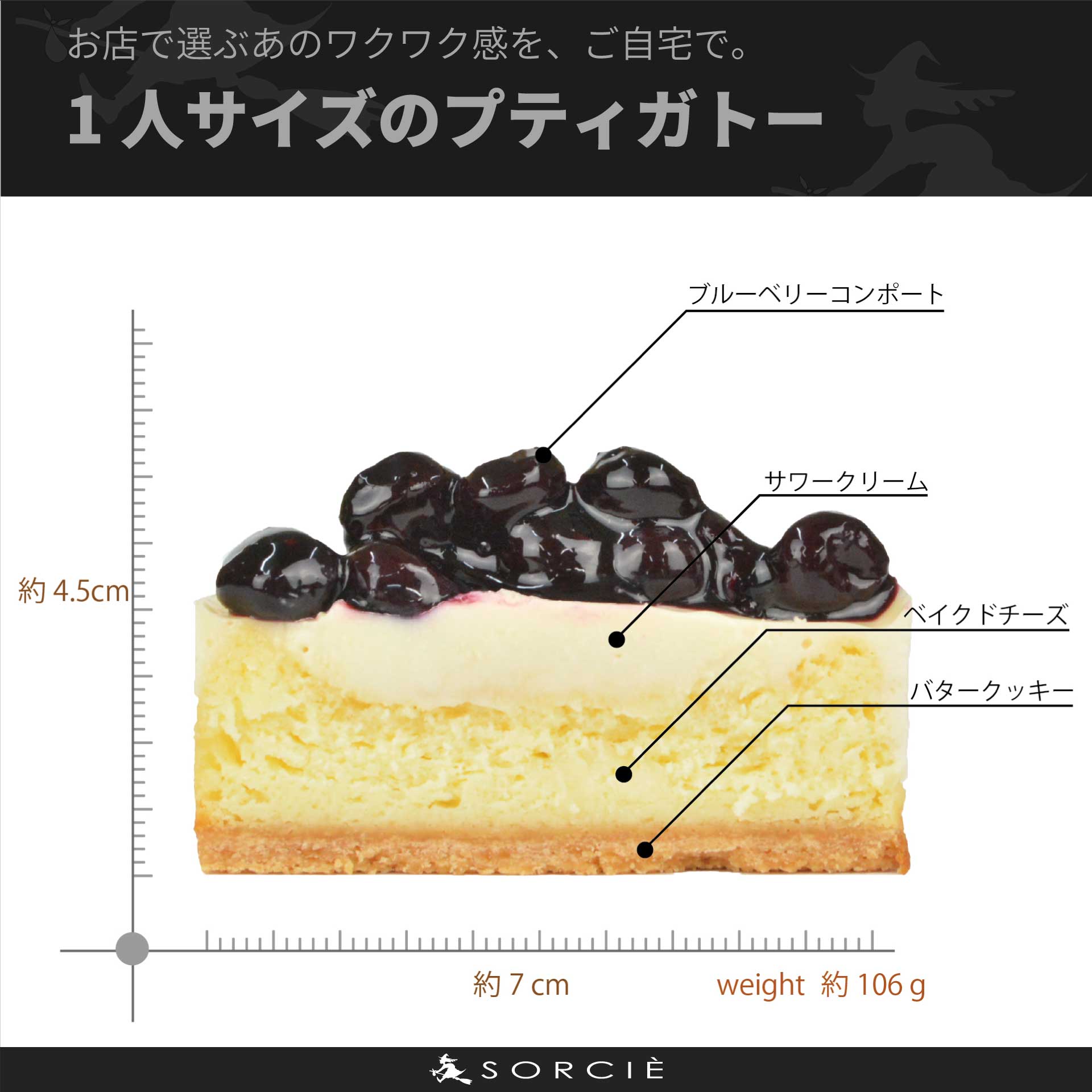 ブルーベリーチーズケーキ | プティガトー（小物ケーキ）
