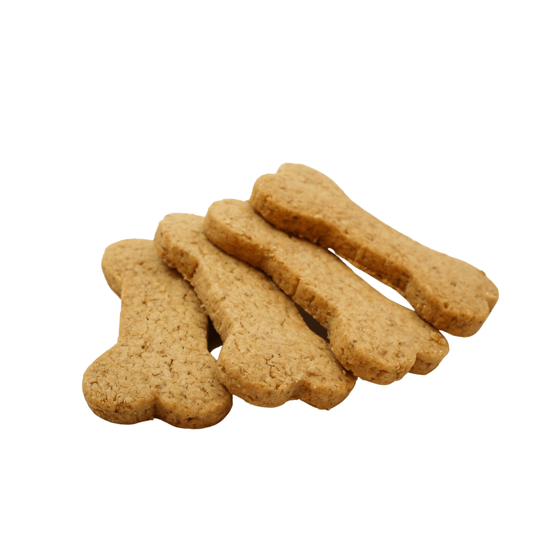【宅配犬用おやつ】ワンちゃん用 骨型ボーンクッキー20枚入り - 魔法洋菓子店ソルシエWEBストア
