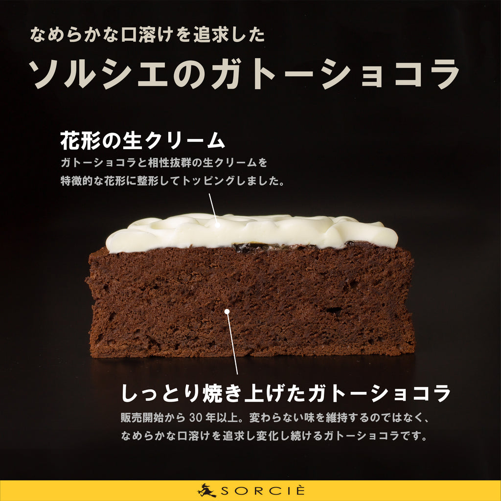 クリスマスケーキ 2025 ガトーショコラクラシック