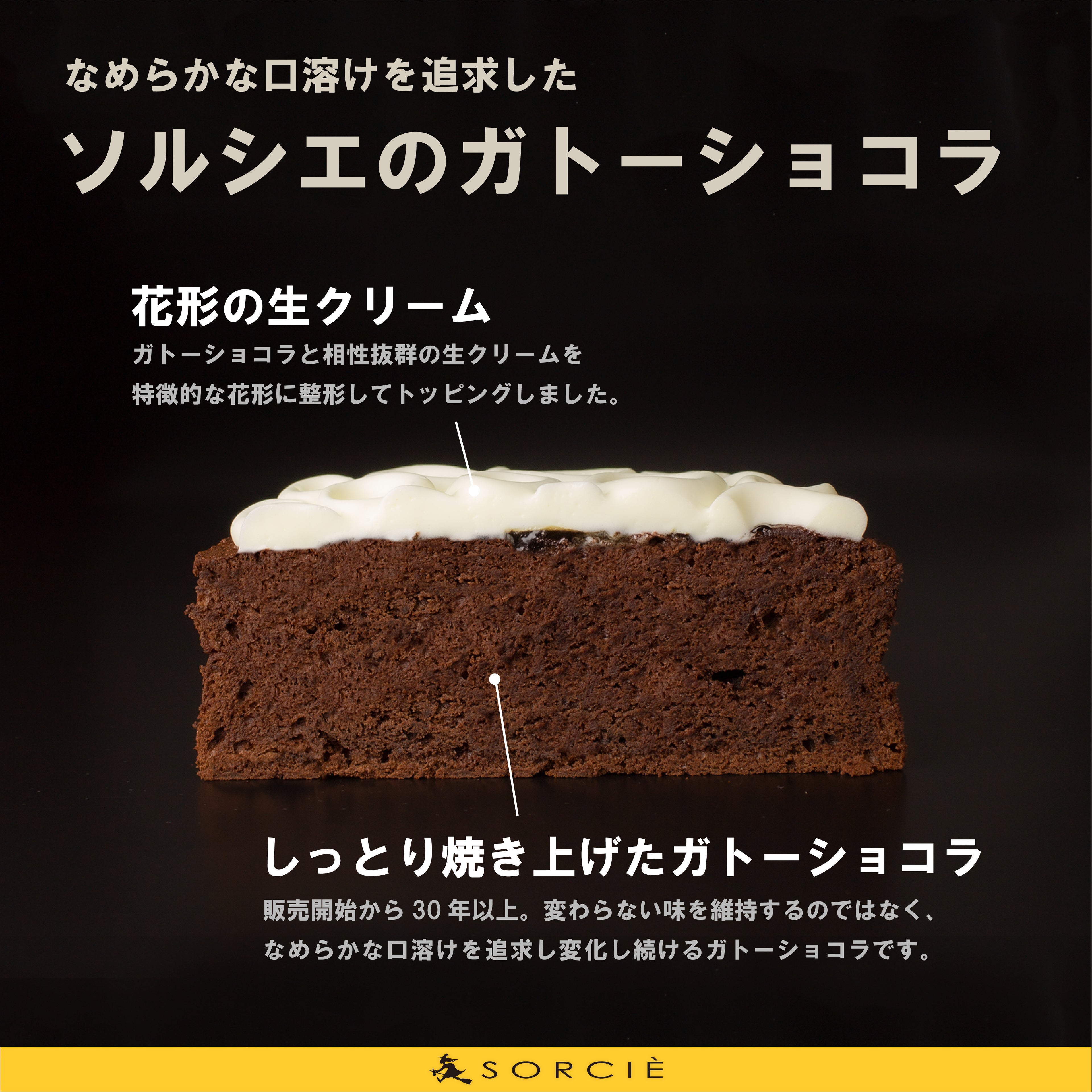 クリスマスケーキ 2025 ガトーショコラクラシック